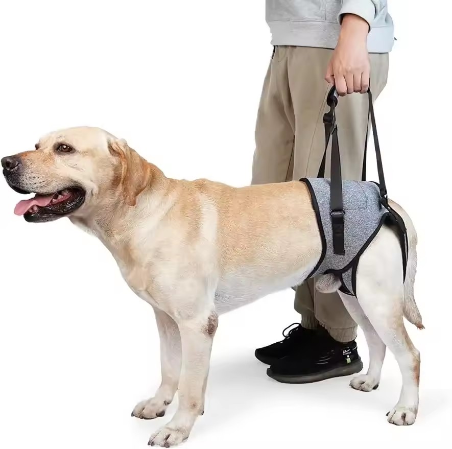 Lifting Belt - Adjustable Dog Lift Sling Hind Leg